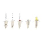 Kit Screw-Posts Dourados (240uni)